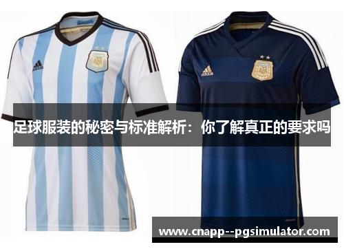 足球服装的秘密与标准解析：你了解真正的要求吗