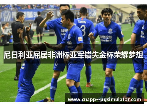 尼日利亚屈居非洲杯亚军错失金杯荣耀梦想