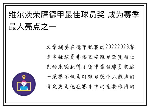 维尔茨荣膺德甲最佳球员奖 成为赛季最大亮点之一
