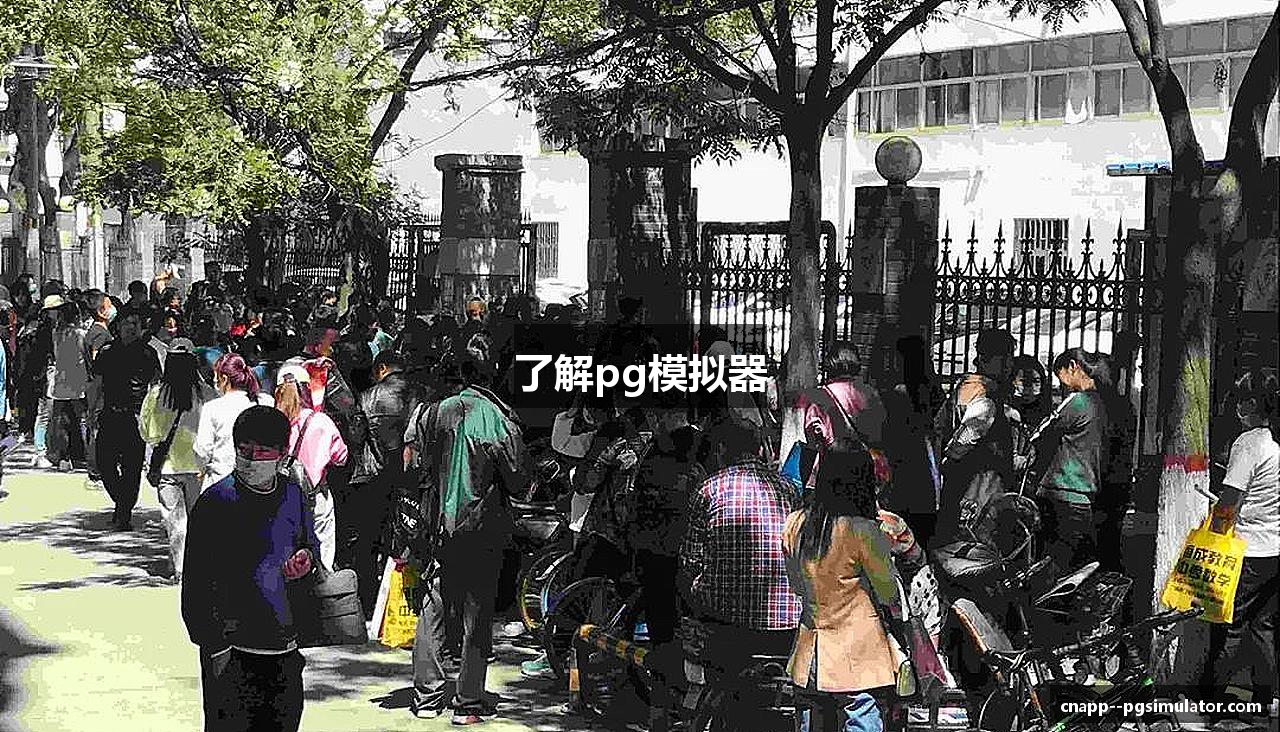 了解pg模拟器